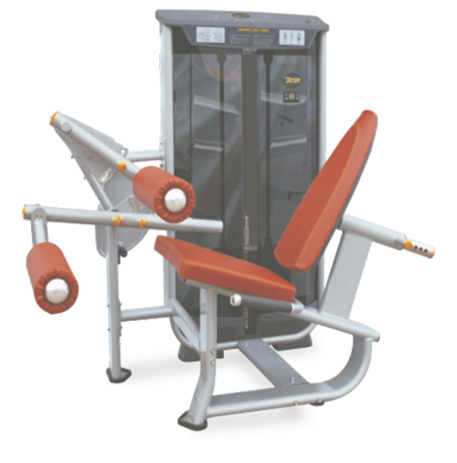Seated Leg Curl