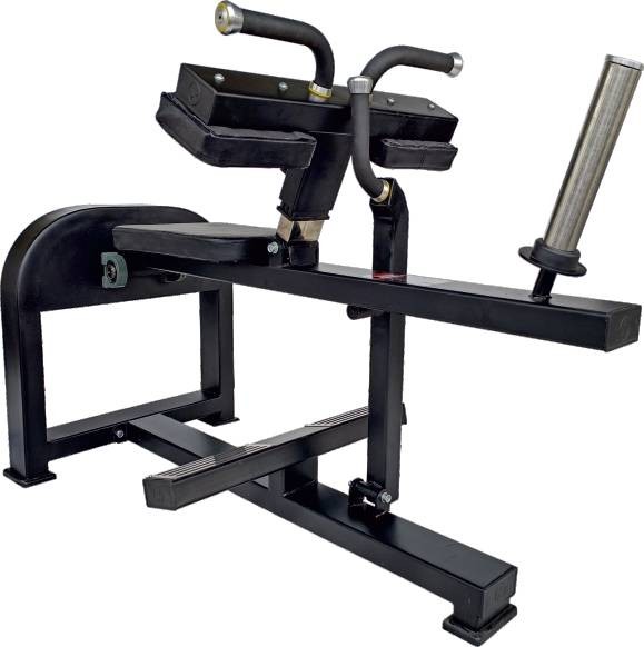 SEATED CALF