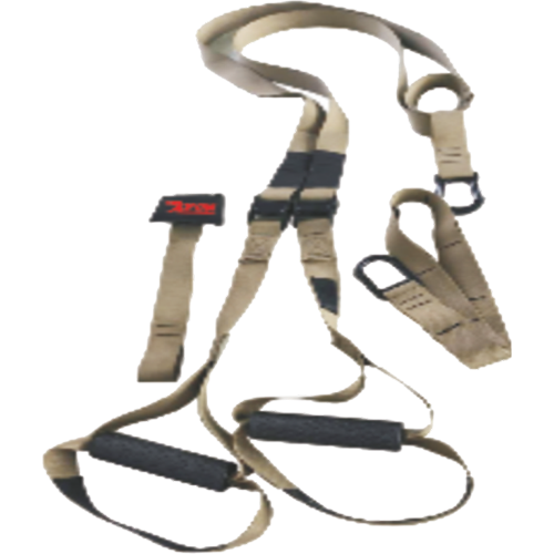 SUSPENSION TRAINING SYSTEM WITH BAG