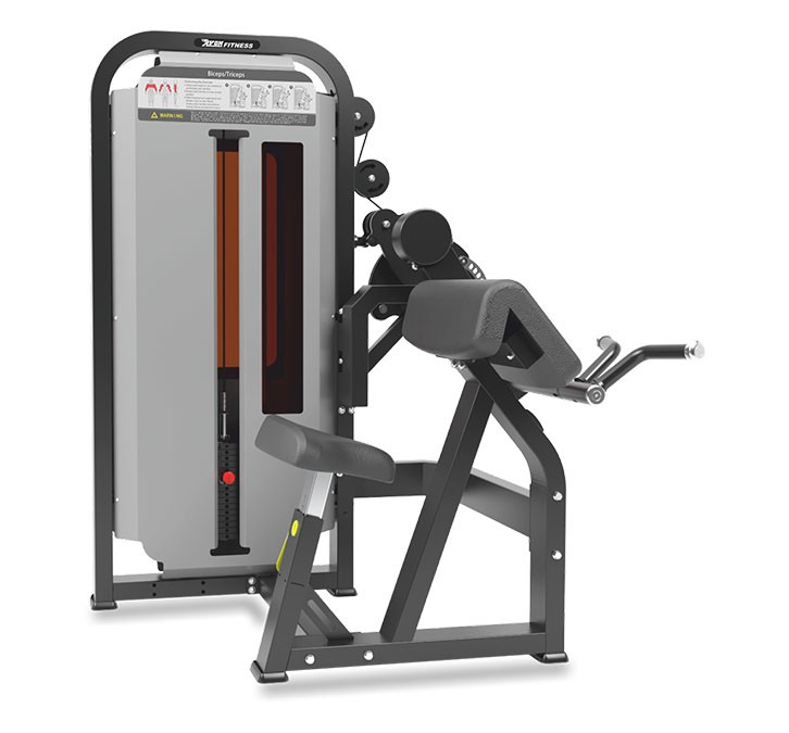 biceps curl / triceps