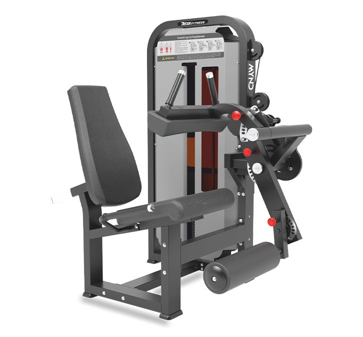 leg curl / leg extension