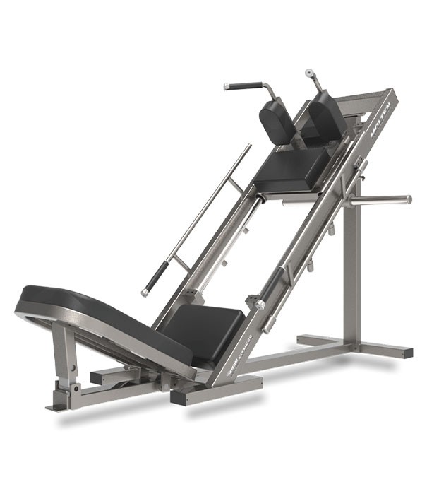 leg press / hack squat