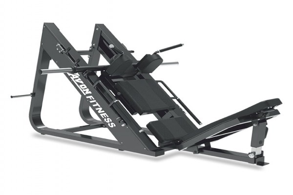 leg press / hack squat