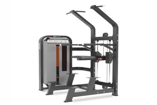 Mynd Series dip / chin assist