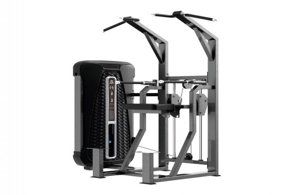 Roger Series Dip / Chin Assist