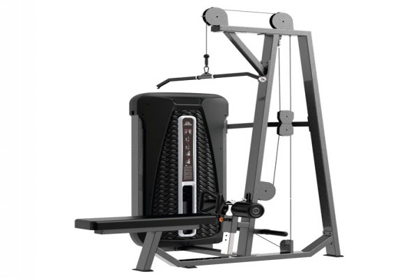 Roger Series Pull Down / Low Row